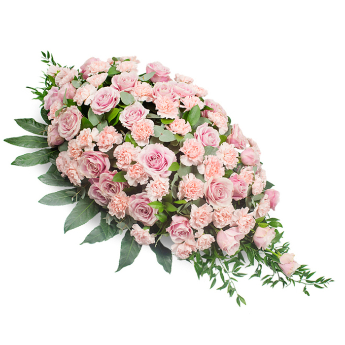 Set against a pristine white background, this lush pink casket spray unfurls in an elegant crescent, full and rounded at the upper left before narrowing delicately to a pointed tip on the lower right. The entire surface is blanketed in soft pink roses and light peach-pink carnations, arranged closely together so that almost no gaps of foliage show through the blooms. The roses range from large, fully opened flowers displaying intricate spirals of petals to smaller buds just beginning to unfurl, their shades moving from barely-there blush to slightly deeper, muted rose. Nestled between them, the carnations contribute a fine, ruffled texture, like layers of tulle, their petals clustered tightly to create a plush, cushion-like effect. This combination of blooms forms a harmonious, pastel canopy that feels both gentle and deeply affectionate. Supporting the flowers is a generous layer of dark green leaves, some broad and glossy, others slender and tapering, tucked in at an angle to follow the spray's flowing outline. Along the lower edge, a few sprigs of lighter, airy greenery extend outward, softening the lines and giving the piece a sense of natural movement, as if a breeze might stir it. The arrangement conveys quiet dignity, the sort of tribute that might be chosen for a farewell at a local service in Epping or a resting place near the open spaces of the forest. Every stem appears carefully considered, reflecting the practiced hands of florists accustomed to creating funeral sprays that bring comfort, solace, and a tender visual memory for family and friends.