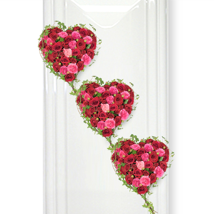 In this image, three generous heart-shaped floral tributes appear one beneath the other, drifting diagonally from the upper left to the lower right, like a quiet procession of love. Each heart is packed to the edges with roses in intense crimson red, lively fuchsia, and soft blush pink, every bloom placed closely together so the surface looks plush and richly textured. Some of the roses are at their fullest, petals relaxed and open, while others remain partially closed, giving the hearts a layered, three-dimensional quality that feels almost touchable. Framing each heart, delicate strands of deep green ivy curve around the contours, the small, pointed leaves catching the light and defining the outline with a natural elegance. Those same ivy trails continue downwards, gently connecting one heart to the next, symbolising the way love can link generations and memories across time. The background is a bright, uncluttered white panel, reminiscent of the simple, calm interiors found in local Epping chapels and service rooms, allowing the colours of the roses to glow vividly without distraction. Soft, even lighting creates faint vertical reflections and barely-there shadows, so the hearts feel present and almost sculptural. The overall scene is tender and composed, ideal as a visual representation of a funeral tribute or celebration of life, where red roses speak of devotion and respect, and pink tones add a note of affection and gratitude. It captures the careful artistry of a skilled florist honouring someone special from the Epping community with beauty and grace.