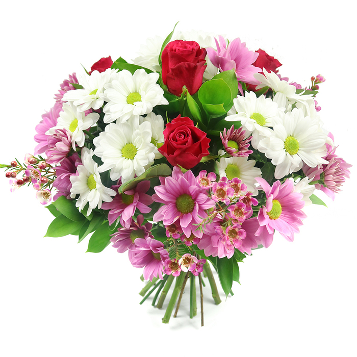 This image presents a full, rounded hand-tied bouquet set against a simple white background that lets every bloom stand out clearly, as if lit by soft daylight in a cosy Epping home. In the centre, several deep red roses form the rich, romantic core of the design, with two roses particularly prominent. Their tightly furled, velvety petals spiral inward, creating a sense of depth and luxury that naturally draws the eye. Encircling these roses is a generous assortment of white daisy-like chrysanthemums, each flower defined by pure white petals and a bright lime-green centre. These cheerful green eyes enliven the bouquet, adding a freshness reminiscent of new growth along the paths of Epping Forest in spring. Threaded among the white flowers are many daisy-style chrysanthemums in shades of pink, stretching from soft blush to deeper, more vibrant pink tones. All of them share the same lively green centres, tying the colour story together and adding rhythm and cohesion to the mix. Fine sprays of pale pink waxflowers are scattered between the larger heads, their miniature, star-shaped blooms and slender stems creating a delicate, feathery texture that lightens the overall appearance. Supporting this colourful display is a collar of lush green foliage, including broad, glossy leaves and lighter, bright greens that help define the bouquet's rounded shape and provide contrast to the petals. At the base, the green stems are neatly aligned and securely tied, ready to be placed in a favourite vase on a dining table or mantelpiece. Crafted with an eye for balance and harmony, this bouquet feels ideal for celebrations, gratitude, or thoughtful gestures within Epping, from homes near the station to those tucked along the quieter residential roads.