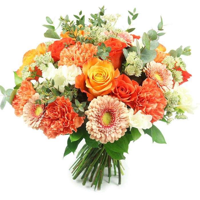 Presented upright against a pristine white background, this abundant hand-tied bouquet luxuriates in warm orange, peach and coral tones softened by pockets of white and cool green foliage. Prominent, richly hued roses anchor the design - some in glowing golden-yellow, others in a deeper, fiery orange - their full, spiralled heads suggesting the rounded formality of a classic garden bloom. Between them, voluminous carnations in coral and burnt-orange offer a sumptuous, ruffled texture that fills the eye and lends comforting weight. Light peach gerbera daisies emerge with broad, flat faces and muted green centres, their petals opening like small suns to balance the deeper tones. Delicate clusters of white filler blooms, similar to tiny freesias or spray flowers, sprinkle bright, pure accents across the bouquet, introducing moments of luminous relief. Pale green, Astrantia-like sprigs and feathery filler provide soft, botanical movement, while the signature rounded eucalyptus leaves - silvery, muted and aromatic - are woven throughout to create a cool, elegant framework. The healthy green stems are neatly gathered and tied at the base in a considered hand-tied construction that speaks to professional care and freshness. As a florist serving Epping and neighbours around Bell Common and Station Road, I picture this arrangement gracing an anniversary table or arriving as a warm thank-you on the High Street; it's the kind of composition Flowers Epping often crafts for seasonal celebrations, offering both visual richness and a gentle, fragrant presence that feels like a small, refined indulgence.