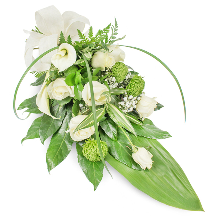 Artfully composed in a classic cascade shape, this sympathy spray balances pristine whites and verdant greens to convey solemnity and comfort. The arrangement is photographed against a plain white background so every petal, leaf and curve is clearly visible: multiple creamy roses in varying stages of bloom display soft, concentric petals that seem to sigh open, while sculptural white calla lilies lend refined lines and a serene purity. Lime-green, button-style chrysanthemums-small, rounded and richly textured-are positioned to punctuate the white with fresh, lively contrast. Interspersed throughout are delicate clusters of baby's breath, their tiny white blossoms creating a mist-like veil that lightens the composition. The foliage work is layered and considered: deep green, glossy leaves form a substantial base; variegated leaves with pale streaks add subtle brightness; fern fronds at the apex introduce a soft, woodland silhouette. Two long, bright green blades arc gracefully across the upper field of the spray, contributing motion and a contemporary profile, while the whole piece elegantly narrows into a broad, smooth, tropical-looking green leaf that defines the tapered tail. A tasteful cream bow sits at the upper left, its matte texture contrasting gently with the sheen of the leaves. The overall effect is calm and respectful-perfect for use at a funeral service or as a memorial tribute placed near a graveside or chapel in and around Epping, where local families often seek a quietly dignified floral expression of sympathy and remembrance.