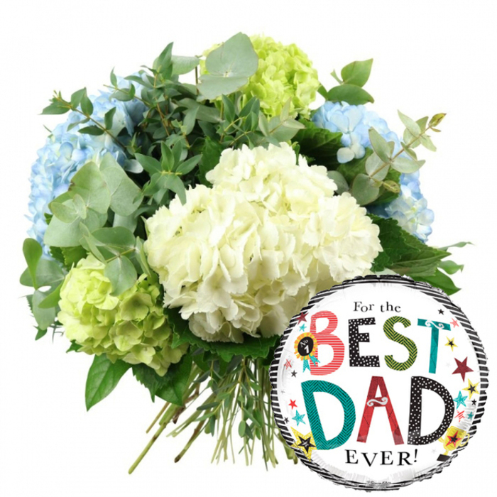 A bright, celebratory composition pairs a hydrangea bouquet with a For the BEST DAD EVER! balloon, all set against a crisp white background that highlights every colour and texture. The bouquet fills the upper left and central portion of the image, its rounded shape created by generous clusters of hydrangeas carefully arranged by a skilled Epping florist. In the centre, several large heads of creamy white hydrangeas form a soft focal point, their tiny petals overlapping to create a plush, cloud-like surface. Around them, cool light blue hydrangeas appear on the left and upper right, introducing a calm, peaceful tone. Tucked between and around these are bright lime green hydrangeas, especially visible toward the lower left and right, adding a lively contrast and a feeling of fresh spring growth. Throughout the arrangement, sprigs of silvery eucalyptus with rounded leaves mingle with darker, richer greenery, giving the bouquet depth, movement, and a touch of the wild greenery found near Epping Forest. The stems of the hydrangeas are gathered neatly at the base, straight and clearly visible, suggesting a freshly tied, ready-to-deliver gift that could easily be carried along Station Road or delivered to a doorstep in Theydon Bois or Loughton. On the lower right, overlapping the flowers slightly, a shiny round foil balloon adds a playful twist. Its white centre is bordered by bold horizontal black and white stripes, framing the main message, For the BEST DAD EVER! in a joyful mix of fonts and patterned colours. Cheerful stars, dots, and a tiny No. 1 champion rosette scatter across the balloon's surface, reinforcing the celebratory mood. Together, the cool-toned hydrangeas and festive balloon create an image of heartfelt appreciation, ideal for marking Father's Day, a milestone birthday, or any special thank-you to a dad in the Epping area.