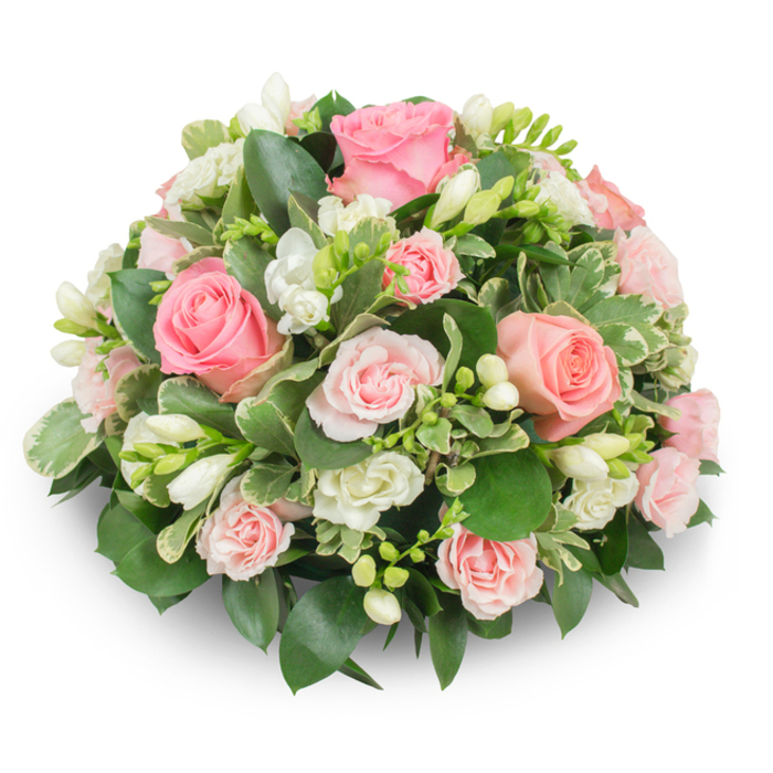 A meticulously constructed, symmetrical domed arrangement that marries soft pink roses with pristine white freesia against a stark white backdrop, presenting a study in texture and tone. The focal roses vary from large, fully open blooms with layered, velvety petals to more compact spray roses that introduce nuance in scale and density; their colour ranges from delicate blush to hints of coral-pink, creating depth through subtle gradation. Interspersed throughout are clusters of white freesia - some presenting multi-petalled open flowers with visible pale yellow stamens, others remaining in tight tubular buds - providing upright punctuation and a light, fragrant note. The supporting foliage forms a lush, green framework: broad, glossy leaves (likely ruscus or salal) provide structure and contrast, while the variegated leaves with cream margins (probably Pittosporum or Euonymus) add brightness and visual interest. The design is intentionally compact with no exposed stems, producing a cushion-like silhouette that casts a gentle shadow and accentuates the three-dimensional quality under soft natural lighting. Texturally, the piece balances the satin smoothness of rose petals, the crisp edges of freesia blooms, and the slightly waxy sheen of the greenery. Appropriate for formal sympathy displays, memorial tables, or as a composed centerpiece for dignified events, this arrangement conveys restraint, warmth, and consolation. As someone who arranges tributes for services near Epping High Street and gatherings by Epping Forest, I note its practical durability and refined presentation - a dependable choice when a polished, heartfelt expression is required.