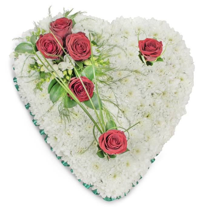 Crafted with careful restraint by local hands, this heart-shaped memorial piece presents a full, textural bed of small white chrysanthemums arranged so tightly they read as a single, soft, luminous surface. The white cushion suggests a quiet purity; scattered across it, five deep red roses provide a measured and poignant counterpoint-three gathered on the upper left, hugged by glossy green leaves and fern-like fronds, and two placed separately, one near the upper right curve and the other at the lower point, each set with a few green accents and graceful blades of bear grass that arc outward. A slim, emerald-green satin ribbon trims the heart's edge, offering a subtle frame that clarifies the silhouette against the plain white background. Light from above casts gentle shadows in the chrysanthemum valleys, giving the piece depth and revealing the precise, practiced touch of a florist arranging for a solemn occasion. The scent is quietly comforting, the faint honeyed notes of the chrysanthemums softened by the rich, velvety perfume of the roses. As a traditional funeral heart it is suited to services at St John's Church or small memorials near Epping High Street and Epping Forest, and it is the kind of piece we prepare for respectful delivery across the local area. Made with sensitivity and a steady hand, this arrangement conveys dignity, enduring love and a composed tribute for those saying goodbye in and around Epping - prepared by Flowers Epping with neighbourhood care.