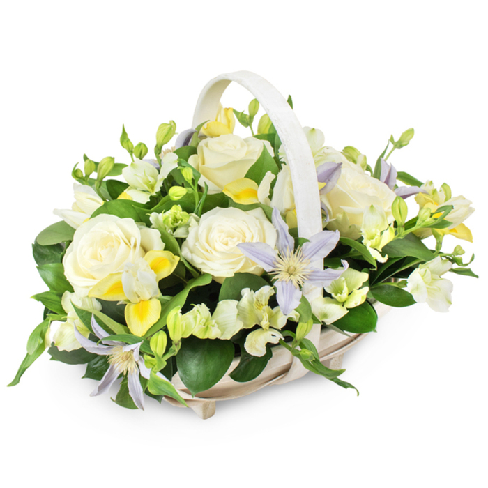 Set against a pristine white background, a light-coloured woven basket with a softly curving handle holds a beautifully considered funeral flower arrangement that feels both classic and contemporary. The basket itself, in tones of cream and pale beige, has a gentle texture that echoes traditional wickerwork seen in local Epping markets, providing a warm yet understated cradle for the flowers. At the centre of the display, large cream and soft white roses unfold in full bloom, their layered petals forming lush, cloud-like cups that immediately convey purity, love, and respect. Intermingled with these are airy sprays of star-shaped clematis, washed in delicate lavender and pale periwinkle hues, each blossom marked by a vibrant yellow-green centre that adds a quiet spark of life. Around them, smaller white and pale yellow freesia-style flowers and similar delicate blooms cluster in little groups, some fully open, others in bud, suggesting messages yet to be spoken and memories still unfolding. Fine white filler flowers with gently ruffled petals add texture and softness, ensuring no harsh lines break the calm flow of the design. Deep, glossy green foliage wraps around and between the blossoms, from broad leaves to finer stems, grounding the arrangement and enhancing the pastel shades. The overall impression is serenely elegant and deeply comforting, perfectly suited for a funeral, wake, or chapel service in and around Epping, from local churches near the High Street to quiet gatherings on the edge of Epping Forest. This is the kind of basket that offers silent support, bringing a sense of gentle light and hope into moments of loss.