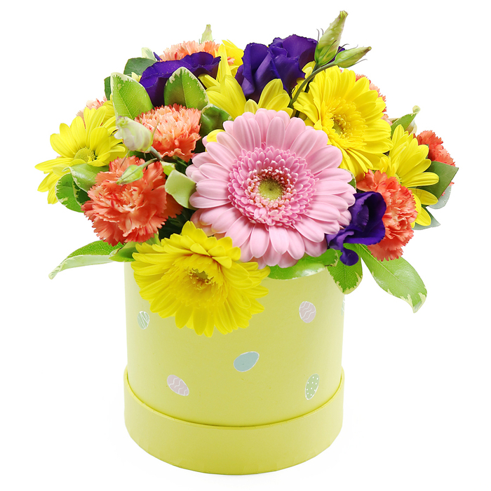 A charming Easter floral hatbox sits against a crisp white background, its colours and textures glowing as if lit by gentle spring daylight streaming over the rooftops of Epping. The arrangement forms a compact, rounded dome brimming with blossoms, each flower carefully placed to create a balanced, harmonious composition. Front and centre, a large, soft pink Gerbera daisy becomes the natural focal point, its many slender petals arranged in precise layers around a fresh, light green centre, reminiscent of the first blush of dawn. Radiating around this central bloom are clusters of bright yellow chrysanthemums, daisy-like and joyful, their fine, numerous petals giving the bouquet an energetic, sunlit quality. Tucked amongst them, coral-orange carnations provide cushioned volume, their ruffled petals overlapping like delicate fabric, adding warmth and an almost tactile softness to the arrangement. Between these cheerful tones, deep violet-purple lisianthus blooms introduce a velvety richness, slightly mysterious and refined, anchoring the palette with depth and contrast. Encircling and weaving through the flowers is an assortment of fresh green foliage, some leaves plain and glossy, others touched with pale variegated edges, lending gentle movement and natural irregularity, as if just gathered from a well-tended garden near Epping Forest. All of this rests in a pastel lime yellow-green hatbox-style container, cylindrical and smooth, with a matte finish that quietly supports the exuberant flowers. The hatbox is decorated with scattered, small pastel Easter egg motifs in light blue, soft pink, and white, some with dainty stripes or dotted patterns, subtly reinforcing the seasonal theme. The result is a joyful, celebratory piece that feels perfect for Easter gatherings, spring birthdays, or simply welcoming the new season into a home, offering a sense of renewal and light-hearted festivity.