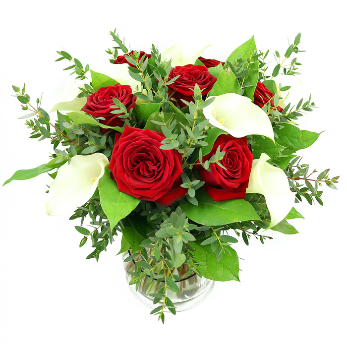 A refined and romantic bouquet of deep red roses and pristine white calla lilies is captured in crisp detail, resting in a clear glass vase against a seamless white backdrop that emphasises every nuance of colour and form. The arrangement is round and generously filled, with around six or seven roses forming the visual heart. Each rose is fully open and densely layered, the petals rich and velvety, spiralling outward in a saturated crimson that evokes classic love letters and candlelit dinners in Epping's cosy restaurants. Interlaced among these are four to five calla lilies, each bloom rising slightly above the roses with a tall, sculptural poise. Their smooth, creamy white petals curve elegantly to reveal a slender, golden-yellow spadix, adding both height and a touch of luminous warmth to the overall composition. Around the flowers, lush greenery creates a frame of movement and texture: airy eucalyptus branches extend outward, their small, rounded leaves a soft blue-green that softens the strong red-and-white contrast, while broader, deeper green leaves lend structure, supporting the bouquet like a verdant collar. The clear cylindrical vase allows the bundled stems to be seen clearly, clustered together in clean water, with a subtle ribbed detail near the base catching the reflected light. Bright, even illumination brings out the glossy sheen of the foliage, the satin-like quality of the lilies, and the matte richness of the roses, making the bouquet look freshly arranged by a local Epping florist ready for same-day delivery to homes near Bell Common or along Station Road. The mood is refined yet inviting, perfect for anniversaries, proposals, or as a sophisticated centrepiece for a family celebration at home.