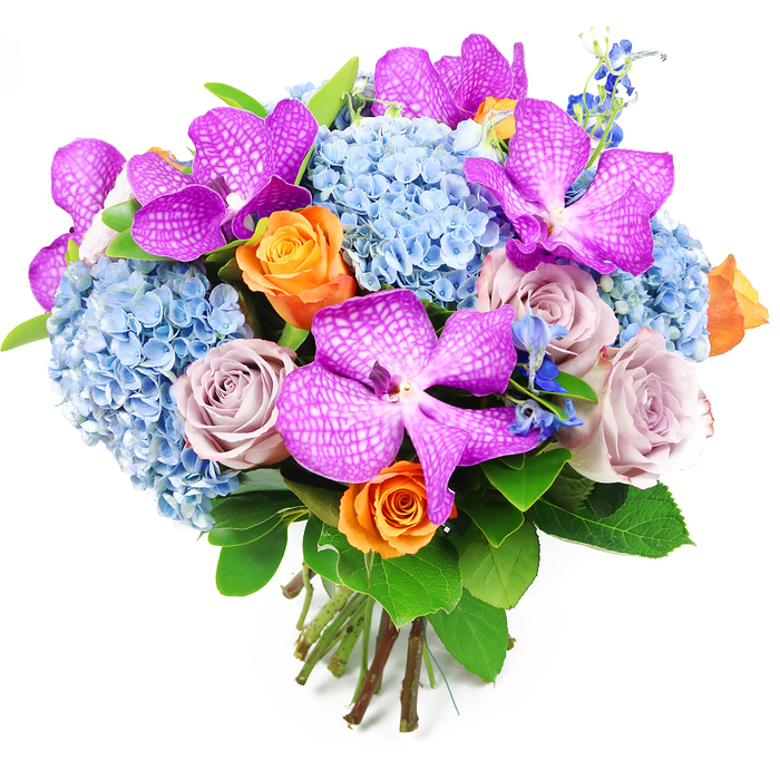 Set against a clean white background, this hand-tied bouquet appears almost sculptural, every flower carefully placed to build a dome of colour and texture. Several striking Vanda orchids in intense shades of magenta and royal purple provide the focal point; their broad petals are intricately marked with tiny white speckles and a subtle net-like pattern, giving them a distinctive, exotic presence. These orchids are interwoven with abundant clusters of blue hydrangeas whose many small florets form large, rounded heads, creating a soft, voluminous base. The hydrangeas' gentle sky-blue tone offers a cool contrast to the rich purples and adds a serene, coastal feeling, like the quiet calm you might find walking near the green edges of Epping on a clear afternoon. Among these are velvety roses in complementary hues: lively orange roses, with petals unfurling in tight spirals, inject warmth and optimism, while muted lavender and mauve roses bring an understated, romantic elegance that bridges the gap between the orchids and the hydrangeas. Slender stems of deeper blue accent blooms, similar to delphiniums, rise subtly through the arrangement, adding vertical interest and a sophisticated layer of colour. Lush green foliage frames the bouquet, the broad, glossy leaves providing a rich backdrop that enhances the intensity of the blooms while keeping the design grounded and natural. At the lower edge, the stems are neatly aligned and firmly tied, clearly showing the skilled hand of an experienced florist. Crafted in the spirit of Epping's welcoming homes and leafy streets, this bouquet would sit beautifully on a dining table near Epping High Road or as a statement gift delivered to a celebration at a local restaurant.