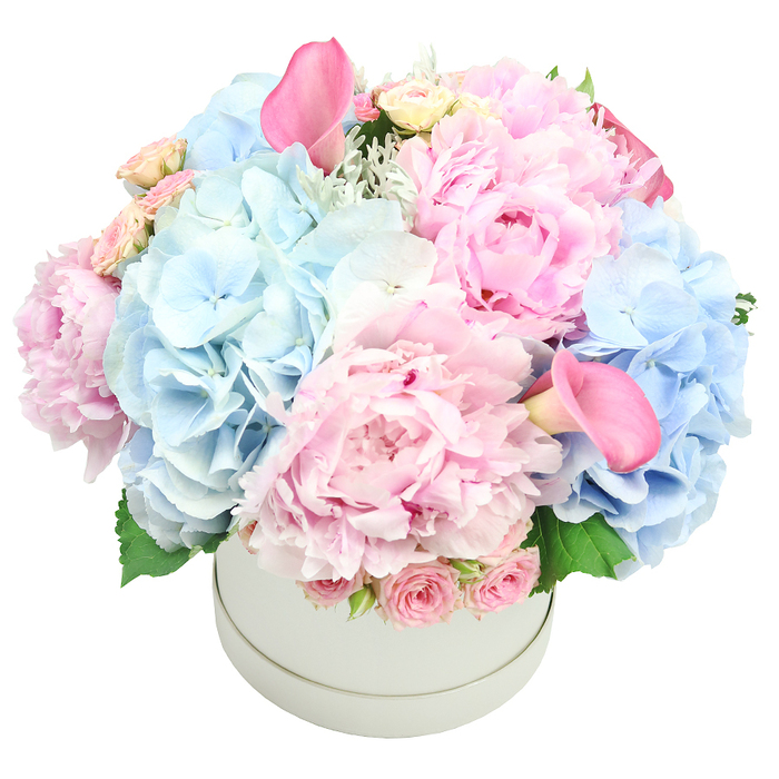An elegant, luxurious arrangement sits in a pale grey, matte round hatbox, its understated tone letting the pastel pinks and soft baby blues take centre stage. Central against a white backdrop, the bouquet feels voluminous yet refined, with large, fluffy pink peonies displaying an array of blush tones and ruffled petals. Interlacing clusters of baby blue hydrangeas contribute a light, airy texture and a cool counterpoint to the warmth above. Two vibrant pink calla lilies rise above the rest, their trumpet forms adding dramatic, modern lift to the composition. Near the rim, spray roses sit in tender budded clusters, their pale pink hues a subtle sweetness. Subtle hints of silvery foliage, perhaps dusty miller, and fresh green leaves peek through, providing depth and a natural feel. This refined arrangement exudes elegance and gentle celebration, making it perfect for weddings, anniversaries, birthdays, Mother's Day, or even gender reveal parties. In Epping, such a piece would be described as sophisticated, versatile, and suited to a formal table centerpiece or a stylish gift for doorstep delivery. The craftsmanship reflects an experienced local florist's touch-precise, balanced, and mindful of light and proportion. It's available for prompt delivery across Epping and the surrounding communities, bringing understated luxury to everyday occasions.