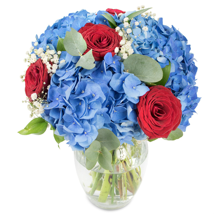 This composition displays confident, considered floral design in a clear, gently curved glass vase set before a stark white backdrop, designed to let each hue and texture sing. Towering in presence are large blue hydrangea heads - each composed of countless small petals that overlap to create dense, spherical clusters with a cool, watery saturation reminiscent of a summer sky. Interspersed deliberately among these plush blue volumes are three scarlet-red roses, their velvety petals wound tightly into compact spirals that read as classical and intensely tactile against the hydrangea's airier form. Sprigs of white gypsophila are woven throughout, their tiny, cloud-like flowers offering delicate punctuation and creating soft negative space that gives the arrangement a lighter silhouette. Underpinning the blooms are eucalyptus leaves with their dusky, rounded shapes and subtle sheen, plus other crisp green foliage that adds structure and a fresh, herbal counterpoint to the sweetness of the flowers. The transparent vase reveals clean green stems immersed in water, conveying a sense of recent cutting and professional conditioning. Bright, even illumination emphasizes saturated blues and deep crimsons while bringing out petal textures - the paper-thin hydrangea petals, the plush rose surfaces, the feathery baby's breath. The overall effect reads as celebratory and composed: suitable for centrepieces at a country-house style dinner or to mark a milestone in Epping, perhaps positioned near The Broadway where its strong colours would catch the eye of passersby and quietly echo local summer skies.