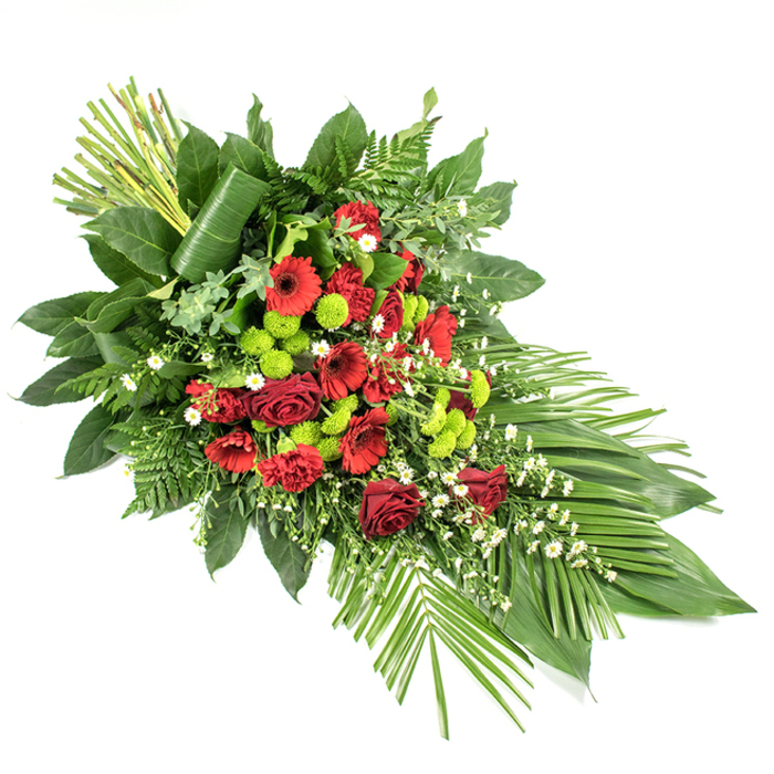 A sophisticated funeral or memorial spray is displayed on a bright white background, its long, tapered form drawing the eye from the lush centre to the gently pointed tip, as though guiding a final farewell. The design showcases a rich blend of deep red and fresh green, with subtle white touches that create a serene, balanced composition suitable for a service in Epping or nearby villages. At the heart of the spray are velvety red roses, some fully unfurled and others still forming, interwoven with striking red gerbera daisies with darker centres and textured red carnations. These flowers form a bold, emotional core that symbolises love, respect, and enduring connection. Threaded between them are clusters of lime-green chrysanthemum pompons, their rounded, almost neon-green blooms offering a lively yet dignified contrast that keeps the arrangement feeling modern and uplifting. Fine white filler flowers are sprinkled throughout like soft points of light, adding delicacy and a gentle sense of airiness. The blooms rest on a dense foundation of deep green foliage, including glossy salal leaves, feathery leatherleaf fern, and an assortment of complementary greens that give the spray a natural, garden-inspired feel, reminiscent of the tranquil greenery around Epping Forest. At the lower right, several long, sleek leaves arc outward in a fan, extending the spray's graceful line and reinforcing its flowing teardrop shape. At the upper left, a small bundle of tall, straight stems rises upright, anchored by a single broad leaf wrapped elegantly around their base, creating a contemporary structural accent. The overall effect is one of calm dignity and heartfelt sympathy, a beautifully crafted floral tribute that would sit comfortably on a casket or as a prominent display during a funeral service in the Epping area.