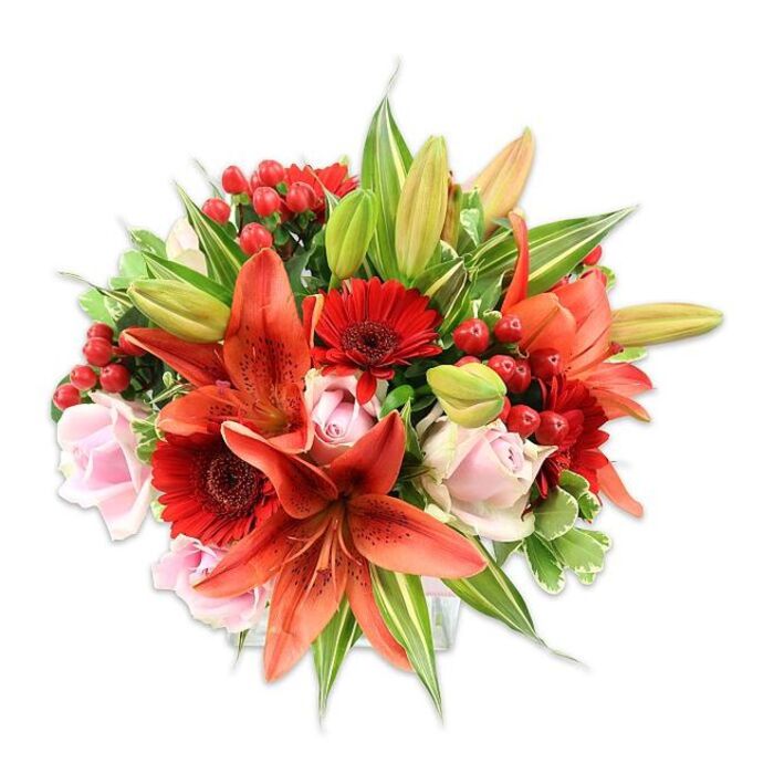 Set against a bright white field that emphasises each hue and contour, this lush, full bouquet is a study in warmth and floral craftsmanship rooted in the character of Epping. Several large Asiatic lilies in bold orange-red form the visual heart-some petals are open and speckled, curving back to reveal prominent stamens, while nearby buds suggest unfolding movement. Vivid crimson Gerbera daisies provide rhythmic pops of colour with their radiating petals and darker central disks, giving the arrangement a lively, textured cadence. Intermingled are pale blush roses that read as quiet, elegant notes; their layered, velvety petals introduce softness and emotional tenderness. Throughout, clusters of small red hypericum berries add festive, glossy punctuation and playful bumps of texture that catch the light. A rich assortment of foliage-broad glossy leaves, a few variegated sprigs with lighter streaks, and slender pointed lily leaves-frames and fills the bouquet, creating depth and a lush green backdrop. The composition feels tactile and sensory: the smooth give of rose petals, the slightly papery quality of lily blooms, the waxy sheen of berries and the satisfying crunch of fresh greenery. The bouquet's rounded silhouette and dense placement reflect careful hand-tying by an experienced florist mindful of balance, scent and seasonality. Picture it brightening a mantel in a cottage near Bell Common, arriving as a thoughtful surprise for a birthday in Theydon Bois, or placed center stage at a small anniversary dinner close to Epping Forest-an arrangement that radiates warmth and joyful attention to detail.