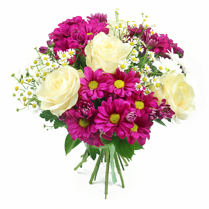 A richly detailed, hand-tied bouquet of mixed blooms appears sharply defined against a spotless white background, the neutral setting drawing full attention to the interplay of colours and textures. At the core of the composition sit four generous roses, their petals an elegant blend of creamy white and soft, buttery yellow, opening fully to reveal classic, spiralled centres. Around these focal blooms, a profusion of fuchsia and magenta chrysanthemums creates a vivid, almost jewel-like ring; each daisy-shaped head has a lively yellow or yellow-green centre that adds sparkle and warmth. Interlaced among the larger flowers are dainty sprays of white, button-centred daisies, reminiscent of feverfew or chamomile, bringing a light, feathery texture and echoing the informal charm of wildflower pockets you might spot near Epping Forest or along the quieter residential streets off the High Road. The foliage is abundant yet carefully controlled, with deep green rose leaves and broader, serrated chrysanthemum leaves adding structure and framing, while subtly hinting at the fresh, green fragrance of newly cut stems. All the stems are drawn together into a tidy, hand-held cluster, wrapped with a green and white gingham ribbon tied snugly at the base, underscoring the personal touch of an experienced local florist. The lighting is bright and even, casting only the softest shadows, which enhance the rounded shape of the bouquet and the layering of petals without distraction. Designed to convey happiness and appreciation, this bouquet feels as suitable for a birthday or congratulations as for a simple, heartfelt gesture to brighten a home near Epping station or in the neighbouring countryside.