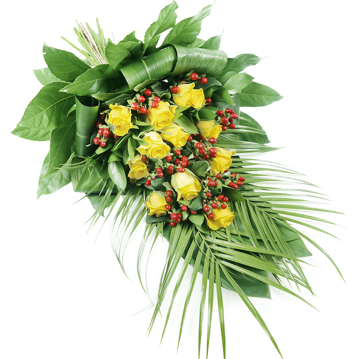 An elegant, elongated sympathy spray composed of yellow roses, red berries, and lush greenery is presented against a bright white background, every contour and colour clearly defined. The arrangement begins at the upper left with a tightly bound cluster of stems, where broad, deep green leaves are expertly folded and layered to create a sophisticated, structural base that hints at the practiced touch of an experienced florist familiar with local funerals and memorials in Epping. From this anchored point, the design gently tapers downwards towards the lower right, forming a graceful teardrop silhouette. Along this flowing line are arranged approximately fifteen to twenty yellow roses in varying stages of bloom; some are firm buds with petals tightly wrapped, while others are more open, revealing velvety spirals that glow with a warm, golden hue. Interwoven among the roses, clusters of small, bright red Hypericum berries punctuate the composition, offering a striking contrast both in colour and texture. Their smooth, rounded forms and deep crimson shades bring a subtle vibrancy that keeps the spray from feeling sombre, instead suggesting quiet celebration of a life well lived. Surrounding the flowers, a rich mix of foliage provides volume and depth. Large, glossy leaves create a dense, protective cradle around the central blooms, while from the lower right edge, long, palm-like fronds extend outward, their narrow leaflets giving the impression of gentle movement, like a soft breeze passing over fields near the outskirts of Epping. The overall mood is one of serene dignity and comforting warmth, making this floral tribute ideal for resting atop a coffin, beside a photograph, or at the graveside as a final, heartfelt gesture of remembrance.
