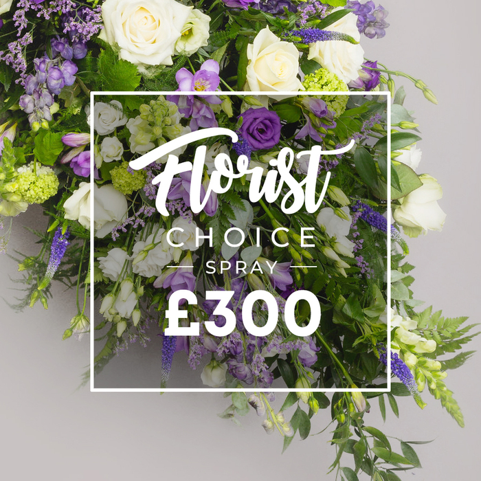 An abundant floral spray cascades gracefully in a cool, studio light, a premium tribute in purples, whites, and greens. Large ivory white roses lead the design, their petals open to reveal a soft glow, complemented by white lisianthus and freesia that float like white bells. The purples pulse through with deep lisianthus, lavender eustoma, and lilac freesia, while tall stems of blue-violet veronica lift the piece and give it vertical drama. Ferns and eucalyptus-like foliage weave through, providing a verdant, textured backdrop that enhances depth and dimension. The arrangement spreads in a long, generous arc, built to lie on a casket or to anchor a memorial display with stately presence. A white translucent overlay frames the central area, with Florist Choice above in a flowing script and SPRAY in bold uppercase, and a large ?300 beneath in crisp white. The composition radiates cultivated taste, balancing fullness with air and leaving space for breath between blooms. In Epping's communities-from the market to the lanes near Epping Forest-families choose such refined, meaningful tributes to convey sympathy or honor a loved one. Flowers Epping crafts these pieces with seasonal stems, ensuring freshness and a steady hand from screen to doorstep, and offering reliable delivery across the town and neighboring villages.