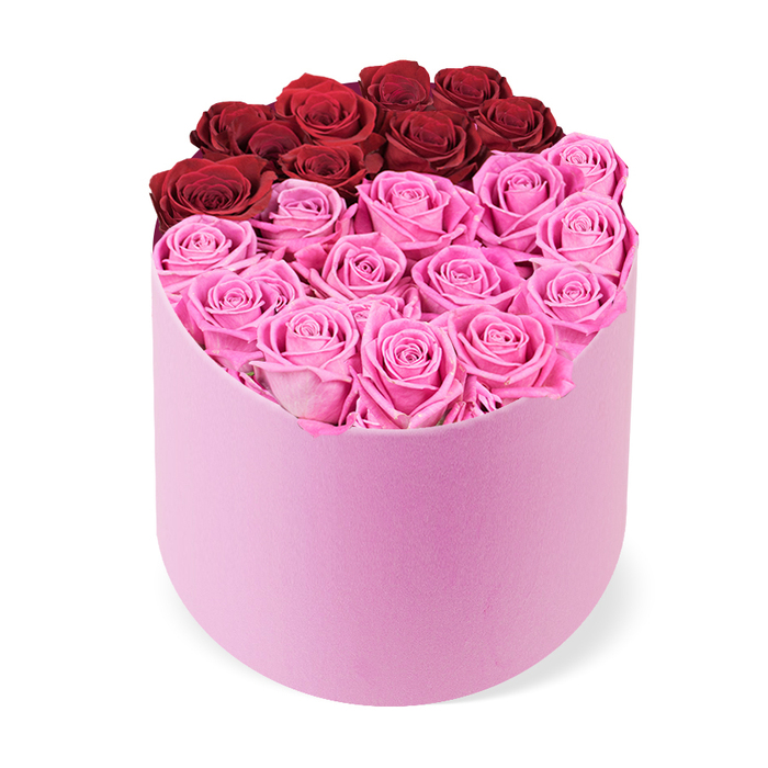 A luxurious and elegant floral arrangement is prominently displayed in a unique D-shaped, semi-cylindrical hatbox, the container a soft, velvety blush pink. From a slightly elevated angle against a white background, the box appears meticulously packed with tightly grouped rose heads, the top third featuring about a dozen deep crimson roses and the front two-thirds filled with a lush cluster of vivid fuchsia-pink roses. Each bloom is fully opened, with petals arranged in precise, layered curves that radiate a refined glow. The two color blocks are deliberate: the upper back section holds the rich red roses, while the larger front section brims with the brighter pinks, creating a bold yet harmonious contrast. The overall effect is one of high-end luxury and quiet abundance, a centerpiece that would elevate anniversaries, Valentine's gifts, birthdays, or Mother's Day. The composition suggests premium fresh-cut quality or long-lasting preserved varieties, and the arrangement would be equally at home in a chic living room or a luxurious reception area. Available for delivery throughout Epping and nearby locales-Loughton, Theydon Bois, and Ongar-the piece embodies the refined craft of Flowers Epping, offering a tasteful statement of love and appreciation.