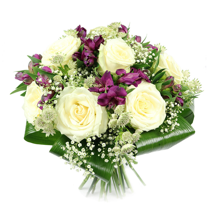 This photograph captures a meticulously crafted bouquet posed against a stark white background, allowing every flower and leaf to stand out with clarity. Dominating the centre are several large creamy white roses, fully open and luxuriant, their spiralled petals layered like fine silk and arranged in a close, rounded cluster. Around these central roses, deep purple and magenta alstroemeria blooms thread themselves through the design, their slender, trumpet-shaped petals creating pockets of rich colour and gentle movement. Some alstroemeria trumpets stretch outward with confidence, while others remain partially closed, promising days of continued blooming. Fine sprays of white baby's breath are woven through the bouquet, their minuscule blossoms dotting the arrangement like tiny stars, softening the stronger shapes and tones. Tucked among the larger flowers, pale green-white astrantia heads provide an intricate, almost lacy texture, each one resembling a tiny pincushion surrounded by papery bracts. Holding the whole composition together, wide aspidistra leaves are wrapped and folded around the base, forming a smooth, dark green collar that frames the blooms and offers a sophisticated contrast. The leaves appear slightly glossy under the studio lights, hinting at their firm, leathery texture. Below this collar, the stems of the hand-tied bouquet are visible, neatly trimmed and gathered, giving a sense of professional craftsmanship. The overall feel is of quiet luxury and poised elegance, the kind of arrangement you might send in Epping to celebrate a milestone birthday, to complement a special dinner at home near Epping Station, or to bring a serene touch to a bedside as a thoughtful get-well gift.