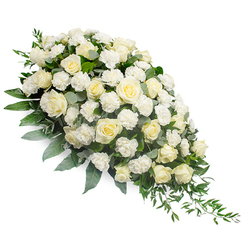 A dignified white funeral spray is shown against a clear white background, arranged in a flowing crescent that begins with a full, rounded cluster of blooms at the upper left and narrows gently to a delicate point at the lower right. The composition is dominated by elegant white and soft cream roses, each bloom at a slightly different stage of opening, so that tight buds nestle beside fully unfurled flowers with layered, spiral centres and softly cupped outer petals. Nestled amongst them, clusters of frilled white carnations bring a tactile richness, their ruffled edges creating small pockets of shadow and depth throughout the spray. The flowers are supported by an abundant base of mixed greenery: broad, deep green foliage, cool-toned eucalyptus with its muted silvery hue, and long, slender stems of ruscus that arc and trail, especially along the tapered end, adding a sense of gentle movement. The entire arrangement sits in bright, even light, which enhances the contrast between creamy petals and rich foliage while preserving a calm, contemplative mood. The design feels both traditional and carefully modern, the sort of refined tribute often chosen for a memorial service or funeral gathering in and around Epping, from quiet village churches to services held near the edges of Epping Forest. The spray seems to speak of purity, gratitude, and a tender farewell, as if created by a local florist who understands the importance of thoughtful, expertly arranged sympathy flowers delivered to families during their hardest moments.