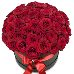 A symphony of velvety red roses unfolds from the top of a stylish matte black hat box, each bloom packed generously together to form an opulent, rounded dome. Created by Epping's skilled florists, this arrangement is crafted for dramatic impact, with the dense bed of blooms exuding classical romance and modern sophistication. The petals, deeply saturated and plush, show subtle gradations of crimson, some curled tightly in bud, some fully open, creating a gentle rhythm across the composition. Circled by a broad, gleaming red satin ribbon and finished with an artful crystal-studded bow, the presentation feels as if it might have been chosen for a significant celebration-an anniversary by the edge of Epping Forest or a romantic proposal at a local bistro. The clean, white background accentuates the bold interplay between the glowing red blooms and the deep matte black of the box. Such artistry isn't merely visual but almost tactile-you can almost feel the softness of each petal, imagine the subtle fragrance, and sense the anticipation of giving or receiving this luxurious bouquet. Ideal for Valentine's Day, lavish romantic surprises, or simply to express devotion in the heart of Epping, this arrangement tells a story of love through flowers and craftsmanship.