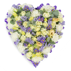 A lovingly assembled heart-shaped sympathy arrangement shown on a pristine white backdrop, the composition dense and deliberately composed to read as a single, tender emblem of remembrance. The perimeter is defined by a continuous, looped purple satin ribbon that frames the florals with a formal, elegant border. Within, clusters of cream and pale yellow roses - from tight buds to gently opening cups - mingle with full, ruffled white carnations that cushion the design and give a sense of quiet comfort. Sprigs of delicate lavender statice drift through the heart, while small violet aster-like blooms with sunny yellow centres punctuate the palette with brighter colour and delicate texture. Rounds of blue-green eucalyptus leaf are interspersed throughout, their cool, silvery tones breaking up the floral density and suggesting a subtle, eucalyptus breath. Under soft, controlled lighting the arrangement shows layered depth and a tactile softness, the roses' petals glancing a faint sheen against the satin ribbon. As an experienced local florist I picture this piece brought together in our Epping workshop, close to St John's Road and the town centre - Flowers Epping often crafts similar tributes for wakes and funeral services in and around the village, aiming to offer comfort through considered plant choices and steady handwork. The mood is peaceful and reverent, a handcrafted symbol of enduring affection and respectful farewell.