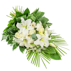 A refined funeral spray of white and green blooms is displayed on a clean white background, the design flowing diagonally as if gently leaning towards a final place of rest in the Epping Cemetery or a quiet chapel near the forest. Large white lilies dominate the centre, some fully open with elegantly curved petals and pale green throats, others still closed, their elongated buds adding height and expectancy. Nestled beside them are soft white roses in various stages of opening, alongside frilled carnations and white gerbera-style flowers whose dark and soft yellow eyes give depth and character. Fine white filler flowers, reminiscent of tiny stars, are threaded among the bigger heads, creating a cloudlike softness and a sense of tenderness. The blooms emerge from a lush cradle of greenery, layered to add dimension and rhythm. Broad, dark green leaves form a strong base, while fern fronds and muted blue-green eucalyptus sprigs introduce more delicate textures. Some long leaves are carefully folded and wrapped, a detail that speaks to the florist's craftsmanship and attention to structure. From the lower right corner, slender palm fronds arc outward in a graceful fan, giving the spray its elongated teardrop form and guiding the eye along its peaceful line. This one-sided arrangement, intended to be appreciated from the front, carries a mood of quiet strength, dignity, and comfort. It feels well suited for expressing sympathy at a funeral, memorial, or cremation service across Epping, Theydon Bois, or the nearby countryside, offering a calm, respectful gesture of farewell.