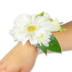 Delicately poised on a fair-skinned wrist against a crisp white background, this elegant corsage presents a study in soft whites and deep greens-an arrangement a florist from Flowers Epping might craft for a bride, prom guest, or graduate attending a celebration near Epping Forest. The focal point is a striking white Gerbera daisy, its broad, silky petals layered around a vivid yellow-green center that gives the bloom a gentle, sunlit focus. Nestled close are clusters of tiny white chrysanthemum-like sprays and creamy lisianthus buds; their different petal shapes-tight spirals, soft ruffles, and tiny cushions-create a tactile, painterly depth. Behind the blossoms, rich Ruscus and salal-like leaves provide structural contrast: glossy, deep green blades that push the whites forward and add a cool, verdant frame along the forearm. The flowers are mounted on a refined wristband of several strands of pearlescent beads; the pearls' soft glimmer and the snug yet flexible band make this piece both graceful and wearable. The photograph's bright, neutral lighting highlights petal edges and leaf veins while suggesting the faint scent of fresh-cut foliage, a whisper of green that complements the visual purity. Whether slipped on for a High Street wedding reception, a prom portrait in St John's Road gardens, or a graduation photograph outside the station, this corsage reads as classic, calm, and celebratory-a small wearable bouquet shaped by local hands and fresh blooms from the nearby markets of Epping.