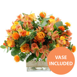 A generous bouquet of warm-toned flowers sits center stage on a pure white background, radiating the same cosy glow you might feel walking through Epping on a bright autumn afternoon. The arrangement is anchored by sumptuous orange roses, their petals layered in rich tones that shift subtly from deep tangerine toward a softer yellow at the core, suggesting both warmth and depth. Interspersed among them are rounded yellow roses and garden-style blooms, their full, ruffled centers opening slowly, like tiny suns scattered throughout the design. Between these focal flowers, clusters of peach and light orange alstroemeria weave in and out, their slender petals patterned with fine stripes and speckles on the inside, adding a painterly, almost hand-brushed detail that a florist in Epping would instantly recognise as perfect for cheerful, everyday gifting. Punctuating the softer shapes are compact, spiky orbs of vivid orange that resemble safflower or thistle, bringing a playful, tactile edge that invites the eye to explore every corner of the arrangement. The foliage is plentiful and thoughtfully placed, with cool eucalyptus leaves in silvery green tones combined with darker, glossy greens, building volume and depth so that the bright blooms appear to float above the greenery, much like sunset light over the rooftops near Epping High Road. All of this is carefully gathered into a sturdy square glass vase, where the clear sides reveal the stems and fresh water. Around the center of the vase, a strip of natural burlap or jute is wrapped snugly, lending a rustic charm reminiscent of local farm shops on the edge of town. In the bottom right of the photo, a bold orange circle with crisp white text states "VASE INCLUDED," making it clear this is a complete floral gift, ready to be delivered and enjoyed in any Epping home or office.