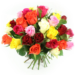 A lush, rounded bouquet of freshly cut, multi-coloured roses fills the frame against a crisp white background, as if carefully arranged on a calm morning inside an Epping florist's studio. The roses are gathered so closely that they form an almost perfect dome, each flower head touching the next, creating a generous, overflowing impression. Deep crimson and ruby reds blend seamlessly with bright yellows, rich oranges, clear ivory whites, gentle baby pinks, and vivid fuchsias, so that no single shade dominates; instead, the eye moves easily across a tapestry of harmonised hues. Some roses have fully open, layered petals that curl softly at the edges, while others remain tighter, giving hints of their centres and adding texture and depth. Dark green foliage emerges in small glimpses between the blooms, its slightly glossy surface and serrated edges reinforcing the sense of freshly picked stems, like roses gathered from a garden near Epping Forest. Below the flower heads, the long green stems are pulled neatly together and secured with a green and white check ribbon tied in a tidy knot, evoking a hand-tied bouquet ready to be passed from one pair of hands to another. The stems fan out slightly where they rest on the white surface, offering a glimpse of the natural structure that supports the abundant top. The lighting is bright yet soft, revealing the velvety quality of the petals without harsh shadows, and lending the arrangement a refined but joyful character. This bouquet feels suited to marking special milestones, from birthdays to anniversaries in Epping, or simply bringing a burst of colour and affection into someone's home.
