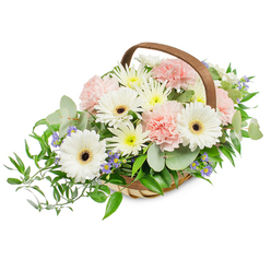 A bright, carefully balanced handwoven basket that celebrates purity and soft romance, composed to feel both fresh and approachable for deliveries across Epping and neighbouring streets. Prominent are several ivory-white Gerbera daisies, their wide, clean petals radiating outward from dark brown centres that anchor the arrangement with a confident focal point. Intermixed are clusters of pale pink carnations, their ruffled edges providing a delicate, tactile softness that contrasts with the gerberas' smooth faces. Small, white and butter-yellow chrysanthemum-type spray flowers fill gaps and lend a plush, abundant quality, while little violet-blue star-shaped blooms thread through the greenery to give discreet, uplifting pops of colour. The greens are layered and varied: silvery eucalyptus leaves offer a cool, rounded silhouette and a whisper of citrusy aroma, while deeper, glossy ruscus branches sweep out to the left, creating a graceful, flowing line. The flowers sit in a light-toned woven wooden basket whose curved brown handle frames the composition and gives it a homely, artisanal feel - a style often requested by families in Epping High Street and residents returning from walks in Epping Forest. The photographer's bright, even lighting emphasizes petal texture and the basket's weave, making each bloom read clearly at a glance. This arrangement works beautifully as a soothing gift, a heartfelt thank-you, or a tasteful sympathy offering, giving a quiet but confident expression of care and fresh craftsmanship from a local florist's hand.
