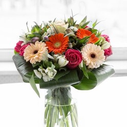 The bouquet before you embodies the understated beauty and lively spirit found throughout Epping and its surrounds, reflecting the expertise of the area's local florists. Vivid orange and soft peach gerberas seem to glow from within, their rounded petals almost inviting touch, while regal magenta roses-tightly furled and velvety-introduce an air of classic romance. Awash in gentle daylight, each bloom's colour sings out, creating a crisp and enlivening focal point. Filler flowers in bright white, possibly alstroemeria and small spray roses, are tastefully interwoven, lending depth and airy contrast. Tall, glossy aspidistra leaves and paddle-shaped foliage curve gracefully around the stems, their strong green presence offering both structural support and organic sophistication. Between the petals, smaller greenery springs up, creating dynamic layers that feel both generous and grounded. All is presented in a simple yet elegant glass vase-translucent enough to reveal firm, freshly cut stems-standing proud like a beacon in a softly lit living room near Epping's High Street. Scented notes of rose and lily gently greet the senses, while the overall composition evokes joy, gratitude, and subtle luxury. Perfect for celebrating a meaningful achievement or sending love across Epping, this arrangement captures the essence of a modern florist's craft, blending tradition and contemporary aesthetic with every stem.