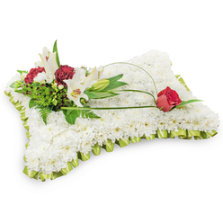 This rectangular funeral cushion is composed of hundreds of small, immaculate white chrysanthemums, arranged so densely that the surface becomes a seamless, cloud-like field of tiny petals; the effect is tranquil and tactile, as if one could smooth the blooms with a fingertip. A pleated trim of pale lime-green satin runs around the perimeter, its subtle sheen and scalloped folds framing the pillow and adding a delicate, uplifting edge of colour. At the upper left a naturalistic grouping provides the visual centre: two white Oriental lilies stand proud and open, their pale stamens visible, accompanied by a closed lily bud and clusters of deep burgundy spray carnations that bring warm contrast and textured movement. Lush fern fronds and glossy green leaves give weight and depth behind the flowers, while two slender arcs of salal or bright bear grass sweep elegantly from the cluster across the cushion. Where those arcs finish, a single, perfectly formed deep red rosebud nestles on the right side, its velvety surface hinting at enduring affection and respect. The arrangement is photographed on a white backdrop so colours and shapes remain pure and calm-an intentional choice for sympathy imagery. As a local florist in Epping, Flowers Epping designs pieces like this for memorial services at local churches and at venues around Epping Station and the surrounding lanes, aiming to convey comfort and dignified remembrance through classic floral craftsmanship.