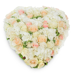 Photographed from a slightly elevated overhead angle on a clean white backdrop, this lush heart-shaped arrangement reads as an intimate expression molded from white hydrangea and a chorus of roses in white, creamy ivory, pale peach and soft blush pink. Dozens of roses-ranging from tight buds to fully opened blooms-are meticulously placed amid fluffy hydrangea clusters so the surface appears continuous and luxuriously dense. Variegated deep green leaves peek through in reassuring flashes, especially along the lower edge, where they help define the heart and enhance the freshness of the petals. The scent is quietly floral: a soft, clean rose perfume balanced by the green, dewy note of freshly cut foliage, as though gathered on a calm morning after a walk through Epping Forest or from a stall on Epping High Street. A gentle drop shadow underlines the arrangement's depth and careful construction, evidence of seasoned floral technique. This piece-prepared with the thoughtful touch of a local artisan-is appropriate for weddings, anniversaries, or as a serene memorial tribute; it carries a message of enduring love and respectful remembrance. Flowers Epping crafts these kinds of refined tributes for same-day or scheduled delivery across Epping and nearby villages, always emphasizing fresh blooms and considered composition suited to heartfelt occasions.