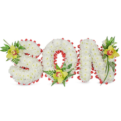 Rendered in calm, intimate detail, this memorial display forms the word SON from compact, pure white chrysanthemums that give each letter a rounded, sculpted presence. The letters rise like small clouds from the plain white backdrop, their surfaces uniformly dense and softly textured. A bold red ribbon is looped continuously around the three letters, curling into scalloped edges that both define and punctuate the shapes; the ribbon threads through the inner curve of the O with particular grace, creating a central halo of colour. Each letter is punctuated with a lime-green Cymbidium orchid: the S holds one at its upper left with delicate orange and reddish-brown markings in the throat, the O is anchored by another orchid at its base surrounded by ferny green foliage, and the N is balanced with a final Cymbidium near its upper right stroke. Glossy long leaves, fine fern fronds, and small sprigs of greenery add natural lift and line, contrasting the chrysanthemums' snowy matte texture with the orchids' polished petals. The lighting is soft and reverent, catching the orchids' waxy surface and the subtle shadows between the chrysanthemum clusters, which together create a mood of solemn tenderness. This piece is intended as a personalised funeral tribute or graveside display, conveying purity and deep affection. As an Epping florist who has arranged for families heading to services around Epping Forest or the town's High Street, I see this as a composed, respectful expression of memory suitable for loved ones gathered locally or at nearby chapels and cemeteries.