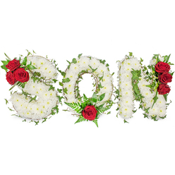 In soft daylight this floral memorial spells SON in bold, capital letters, each letter lovingly composed of hundreds of small white chrysanthemums arranged into a plush, continuous surface. The bridal-white mass reads as a quiet blanket of remembrance, its tiny petals catching a cool morning light that brings a sense of calm to the composition. Intertwined through the white blooms are generous strands of green ivy and darker foliage, tracing the letterforms and giving them organic movement and depth. The arrangement is pierced with notes of deep red: three velvety roses sit on the top curve of the S, a single, almost solemn red rose anchors the base of the O accompanied by delicate fern fronds, and a vertical cluster of three red roses accentuates the right side of the N. These red accents offer a striking visual and emotional counterpoint, a heart-felt emphasis against the purity of the whites. Gentle shadows and the sheen of glossy leaves lend dimensionality, while the scent-soft chrysanthemum freshness with a warm rose note-adds a comforting presence. Designed specifically as a son memorial tribute, this funeral letter tribute balances dignity and intimacy so it reads clearly at a funeral service, wake, or graveside. As a local floral choice for families in and around Epping, the piece brings handcrafted solace, reflecting careful techniques used to secure ivy runners and position focal roses for maximum meaning. The overall impression is one of respectful love: a personalized floral message that says both farewell and enduring affection, made to support those processing loss and to stand gracefully at a memorial.