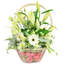 A light, natural wicker basket is placed against a crisp white backdrop, its curved handle arching protectively over a lush gathering of white and green flowers that seem to capture the gentle calm of a morning walk through Epping Forest. The basket's weave is clearly visible, each strand of straw-like wicker slightly uneven in a way that feels handcrafted and honest. Around its base, a red and white gingham ribbon is tied into a tidy bow, adding a nostalgic touch reminiscent of local Epping village fêtes and family picnics. Inside, tall lily stems rise above the rest, their buds mostly closed in shades of creamy white and pale green, with a few just beginning to open, hinting at soft fragrance still to come. Clustered lower in the design, white Gerbera daisies with deep, dark centres draw the eye, their flat, sunburst faces giving the basket a joyful, open expression. Delicate lisianthus blooms in white and subtle green tones are scattered throughout, their ruffled petals offering a romantic, almost rose-like texture. A streamlined white calla lily can be seen among the foliage, its smooth funnel shape adding a contemporary accent. Small white and green button-like flowers fill the spaces, ensuring no gaps break the sense of abundance. Surrounding everything is a mix of eucalyptus, variegated leaves, and glossy dark greenery that cascade gently over the basket's edge. The arrangement feels peaceful yet celebratory, ideal for marking a wedding anniversary at home near Epping Station, sending quiet sympathy to a family in Coopersale, or simply brightening a dining table on a soft grey Essex afternoon.