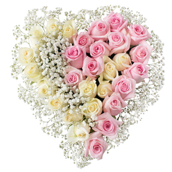 A large heart-shaped floral tribute is pictured against a simple white backdrop, its colours and symmetry drawing the eye much as a display in a calm Epping chapel might do. The heart is perfectly formed from two distinct halves of roses, divided with precision down the middle. On the left, rows of creamy white and pale ivory roses sit shoulder to shoulder, each head tightly packed so that their unfolding petals create a smooth, almost satin-like surface. On the right, matching clusters of medium pink roses echo the same fullness and contour, their soft, warm tone suggesting affection, gratitude and the sweetness of shared memories. Threaded throughout the heart, and especially along the central divide and around the edges, are countless tiny blooms of white baby's breath, their airy clusters softening the transition between colours and adding gentle movement and texture. The gypsophila forms a fine, misty border that enhances the clear outline of the heart, giving it a light, floating quality despite its richness. The arrangement feels thoughtfully balanced and deeply respectful, ideal as a funeral or memorial tribute for services in and around Epping, from quiet gatherings near the station to commemorations for families travelling from Theydon Bois or Loughton. Every element - from the choice of pastel roses to the meticulous spacing - speaks of care, making this floral heart a tender expression of sympathy and enduring love.