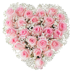 Imagine a heart-shaped pillow of roses, crafted from closely clustered soft pink blooms that create a continuous, plush surface; each rose varies slightly in hue from barely-there blush to a gentle, deeper pink, some petals still tightly spiralled while others open to reveal delicate interiors. Interspersed among the roses are fine sprays of white gypsophila-baby's breath-that float like tiny clouds across the arrangement and define the heart's edge against the stark white background. The lighting is crisp and even, highlighting the velvety petal texture and the faint sheen of morning dew, and it suggests a subtle scent of fresh roses warmed by sunlight. As a practising florist in Epping I can see the careful balance here: stems positioned for perfect symmetry, depth created by varying bloom stages, and the gypsophila used to soften the composition while adding contrast. This bouquet conveys tenderness, reverence, and intimate devotion-suitable for Valentine's Day, a wedding gesture, or a heartfelt anniversary gift. Flowers Epping offers a similarly composed piece for local delivery, arriving with that florist's scent and the quiet confidence of skilled hands. Envision it placed on a kitchen table on Epping High Street or carried through the leafy paths of Epping Forest-its soft colour and refined silhouette will read as both celebration and solace, a floral declaration meant to comfort and to cherish.