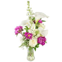 A thoughtfully composed bouquet that balances modern minimalism with garden romance: elegant white calla lilies reach upward, their porcelain-like trumpets and pale yellow spadices sculpting a clean, contemporary silhouette against a pale background. Interwoven among them are deep magenta peonies - two fully open, lavishly ruffled blooms sit prominently lower in the vase, while a smaller, snug bud on a visible stem hints at a second act of colour and fragrance. Anchoring the lower centre is a creamy white rose whose compact spirals lend a timeless softness that contrasts beautifully with the peonies' exuberance. Behind the main cluster a tall white stock (and touches of larkspur-like spikes) provides height and delicate texture, its many tiny florets forming a gentle vertical counterpoint. Sprays of baby's breath drift through the composition, adding a diaphanous lightness that lifts each bloom, while rich green foliage - from feathery fern fronds to broader glossy leaves - frames the stems and enhances the vivid magenta and clean whites. The clear glass vase, softly curved and filled with water, reveals the elegant tangle of stems and speaks to careful floral mechanics. The scent is an inviting mix: the callas' cool, faint perfume meeting the honeyed, full-bodied aroma of peonies. As a local florist serving Epping and nearby villages, Flowers Epping often crafts this style for anniversaries, Mother's Day, and thoughtful delivery across the High Street and Station Road - a bouquet that reads as both celebration and sincere comfort.