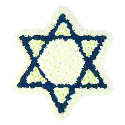 A striking Star of David funeral arrangement fills the frame, its strong six-pointed outline formed with precision from hundreds of fresh blossoms, and set against a plain white backdrop so every petal and contour can be appreciated. Along the outer edges, soft white chrysanthemums are tightly massed to create a plush, cloud-like border that gently traces each arm of the star. Inside this frame lies a perfectly balanced central hexagon of pure white blooms, their neat, rounded heads sitting shoulder to shoulder and giving a sense of quiet stillness at the heart of the tribute. Around and between these white elements, the eye is drawn to the intense, velvety blue that floods each of the star's six triangular points, a deep navy or indigo that suggests dyed chrysanthemums or carnations chosen for their depth of colour and durability. At the inner base of every blue point, a smaller triangle of white flowers has been set in like a subtle inlay, so that the white seems to echo and re-emerge, weaving a gentle pattern of light through the darker tones. The craftsmanship feels deliberate and respectful, like something carefully prepared in an Epping flower studio for a family gathering at a local synagogue, cemetery chapel, or home during shiva. Although the photograph is simple and uncluttered, the arrangement itself carries great emotional weight: a peaceful, dignified expression of Jewish faith, remembrance, and love, suitable for funerals, memorial services, and memorial plaques where a meaningful, symbolic floral tribute is desired.
