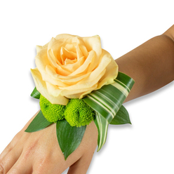 Presented on the left wrist against a bright white backdrop, this wrist corsage reads like a miniature bouquet: a single, fully opened rose in a gentle peach-apricot tone anchors the design, its petals layered and satiny, catching a soft, diffused light. Flanking the rose are two lime-green button chrysanthemums, their compact, pom-like heads lending cheerful texture and a crisp colour pop that enlivens the palette. beneath the blooms, several broad, dark green leaves-salal or ruscus-form a lush cradle, giving the piece weight and a natural silhouette that follows the curve of the arm. A variegated, striped leaf, artfully folded into a sweeping arc, adds an architectural flourish and a contemporary edge, its pale stripes providing subtle contrast against the deeper greens. The corsage is worn close to the skin with an unseen band or ribbon; the juxtaposition of soft petals, spiky pom-poms and glossy foliage creates a tactile composition you can almost feel. There is the faint sweetness of rose and the suggestion of freshly cut greenery, a scent that suits both wedding vows under Epping Forest's canopy and prom photos on Epping High Street. As a local florist familiar with the pace of this town-preparing pieces for ceremonies near the station and receptions by Bell Common-I design this style to be comfortable, fresh and composed. Flowers Epping crafts each wristlet with the same attention to balance and longevity, so it reads elegant in photographs and comfortable to wear throughout any celebration.