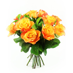 Centered against a clean white backdrop, this lush bouquet of around a dozen orange and yellow bi-colour roses glows with a soft, luminous warmth. Each rose is captured at its perfect point of openness, the petals unfurling from neat, coiled centres into layered outer whorls that create a plush, almost cloud-like texture. The colours move in a gentle gradient: at the core, a bright golden yellow reminiscent of morning light over Epping Forest, which gradually deepens into juicy apricot, tangerine, and finally a richer burnt orange at the feathered edges. On some blooms the very tips hint at a red-orange blush, adding depth like the last flicker of a sunset. The roses are gathered closely so that the heads form a rounded crown, with just enough space for glossy dark green leaves to peep through, framing the flowers and grounding the arrangement in fresh, natural greenery. Beneath the blossoms, a neat cluster of straight, dark green stems is visible, freshly cut and meticulously aligned in the manner of a practiced local florist. The even, bright lighting casts no harsh shadows, emphasizing the delicate veining of each petal and the velvety texture of the blooms. The overall impression is of optimism and encouragement, perfect for sending congratulations to a friend on Epping High Street, cheering up a loved one near Bell Common, or adding a vibrant focal point to a dining table at home. The bouquet's inviting warmth feels like a heartfelt hug delivered in flower form across the Epping area.