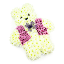 A floral teddy bear tribute, photographed against a simple white background, radiates softness and affection in a way that feels deeply personal to families around Epping. The body of the bear is sculpted from tightly packed creamy white chrysanthemums, their small, rounded petals layered so closely that they resemble plush fur. You can almost imagine the gentle give beneath your hand if you were to touch its rounded tummy or sturdy little paws. Two dark, bead-like eyes and a small black triangular nose sit neatly on the face, giving the bear a tender, watchful gaze, as if it is quietly standing guard over cherished memories. Beneath the nose, a subtle curve of petals hints at a shy smile. Draped across the front is a charming floral waistcoat, created from deeper pink and magenta blooms, adding a cheerful splash of colour that contrasts beautifully with the pale chrysanthemums. At the neckline, a fine bow of translucent purple netting is tied, the mesh catching the light in delicate folds that lend the design a slightly playful yet respectful elegance. The bright white background and even lighting ensure every detail-each petal, each curve of the bear's outline-is clearly defined. Designed as a heartfelt tribute, this piece feels especially appropriate for a child's funeral, a baby's memorial, or a tender farewell held in local chapels and churches around Epping High Street. It could just as easily be chosen as a comforting floral gesture for baby-related occasions, delivered with care to homes and venues across the Epping area.