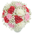 A bouquet alive with joyous colour greets you from a clear glass vase-a glimpse of Epping's natural grace captured in floral form. Lush carnations in radiant red, gentle pink, and creamy white form a rich, spherical heart, their ruffled petals offering a soft, tactile invitation. Wisps of dainty white gypsophila swirl between the carnations, evoking the lightness of clouds drifting above the meadows near Epping Underground. Each bloom is illuminated by fresh, even daylight, heightening every vivid detail against a spotless white background. There is a lyrical softness here: the baby's breath adds a dreamy veil, tempering the carnation's vibrancy and weaving together a sense of unity and hope. The bouquet resonates with affection and quiet celebration-perfect for birthdays, milestones, or those spontaneous moments when words fall short. Crafted with care by local florists attuned to Epping's tranquil rhythms, the arrangement invites you to share warmth and serenity with someone special in your community.