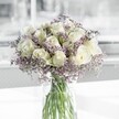 A softly luminous bouquet of creamy white roses and pale lavender limonium stands in a clear cylindrical vase, bathed in gentle daylight like the calm of an early morning walk through Epping Forest. Each rose is perfectly formed, its velvety petals spiralling out from a warm, creamy centre to edges that almost glow against the cool airiness of the surrounding blooms. The white is not stark but soothing, reminiscent of fresh linen or soft clouds drifting over the High Street after a spring shower. Threaded between and around the roses, the limonium-tiny lilac and lavender flowers on fine branching stems-creates a delicate, misty halo, giving the whole arrangement a tranquil, almost ethereal softness. Slim green stems gather neatly in the clear water, visible through the simple glass vase, adding a sense of freshness and honesty to the design, as if the flowers have just been arranged by a careful local florist preparing a delivery for a quiet home on Station Road or a thoughtful gesture sent to a family near Theydon Bois. The overall feeling is one of peaceful elegance and sincere comfort, ideal for expressing sympathy, marking a gentle new beginning, or bringing a serene focal point to a light-filled living room in an Epping townhouse. There is no clutter or distraction, only the calm balance of white, lavender, and green, held together with skill and restraint. The bouquet seems to invite a slow breath and a moment of reflection, like pausing on a bench in Stonards Hill Park, offering a tender, unspoken message of hope, remembrance, and enduring care.
