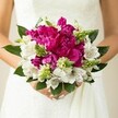 A close-up photograph captures a bride or wedding guest cradling a vivid hand-tied bouquet, the flowers held just against the soft folds of a white lace gown, like you might see outside the church in Epping High Street after a summer ceremony. At the heart of the design, generously ruffled peonies in deep fuchsia and magenta unfurl layer upon layer of silky petals, forming a dense, rounded centre that feels both luxurious and joyful. Tucked between these large blossoms, crisp white alstroemeria open their slender petals, each bloom patterned with fine maroon freckles deep in the throat, adding a painterly detail that rewards a closer look. Sprays of fresh, spiky green buds - likely Ornithogalum or similar textural stems - dart through the bouquet, their bright chartreuse tones and pointed shapes contrasting with the softness of the peonies and lilies. Broad, glossy dark-green leaves gather around the outside, cupping the flowers and giving the arrangement a natural, garden-picked edge, reminiscent of a walk through Epping Forest in late spring. The bride's neatly manicured hands, nails painted a gentle blush pink, gently wrap the stems, anchoring the composition against the subtle texture of her gown. The lighting is soft and flattering, allowing the intense magenta, clean white, and vibrant greens to glow without harsh shadows. Everything in the frame feels intimate and celebratory, as if the moment fell between posed photographs on a wedding morning in Epping, just before she steps out for the ceremony. This image beautifully reflects a modern yet timeless bridal bouquet choice, rich in colour, texture, and sentiment.