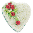 A detailed heart-shaped sympathy tribute dominates the image, set against a simple white background that allows every petal and leaf to stand out clearly. The heart is fully covered with small-headed white chrysanthemums, packed so tightly that they form a dense, plush surface reminiscent of soft fabric or freshly fallen snow. Their uniform colour and rounded shapes give an impression of serenity and quiet comfort. Across this pure white base, a diagonal arrangement of five deep red roses creates a powerful line of colour and emotion. At the top left edge of the heart, three roses sit in a compact spray, their velvety petals layered in rich crimson spirals. They are surrounded by mixed greenery, including glossy dark leaves, lighter feathery foliage, and a few tiny white filler blooms that blend gently into the chrysanthemum background. Further down and towards the right side of the heart, two more roses appear, spaced thoughtfully yet visually connected to the main cluster by fine arcs of bright green ornamental grass that sweep in graceful curves. These lines of grass give a subtle sense of movement, as though guiding the eye gently across the tribute. The outer edge of the heart is finished with a narrow band of dark green satin ribbon, neatly folded to follow the contours and providing a polished frame. The overall design feels classic and dignified, the type of floral heart that might be delivered to a church or crematorium in Epping to express heartfelt condolences and to honour the memory of someone deeply cherished.