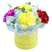 A cheerful, compact flower box arranged to feel like a small celebration: a round, pastel yellow hatbox sits on a crisp white surface, its lemony paper finish scattered with soft pastel polka dots in pale blue, pink and mint. From the rim pours a dome of fresh blooms-a pair of large, ruffled yellow carnations anchor the centre with their sunny, lemon-yellow petals that catch soft morning light, their edges feathered and slightly creped. Around them, clouds of periwinkle-blue hydrangea florets form a gentle, cooling cushion; each tiny four-petalled floret shows hints of white or sky-blue at the tips, giving the bouquet a soft, almost powdery texture. To the left, a deep magenta carnation introduces a vivid, velvety punch of colour, while a rich crimson-red carnation on the right balances the composition with warm depth. Slender sprigs of bright green foliage peek through the blossoms, adding a fresh herbaceous scent and delicate, leafy texture against the rounded blooms. The overall impression is one of joyful refinement-a playful, springlike palette that feels perfect for a birthday, a get-well gesture, or a small thank-you delivered to a nearby home. The styling is tidy and contemporary, the hatbox suggesting a ready-to-gift presentation ideal for hand delivery around Epping and local streets near the high street. Scent is light and sweet: a faint, fresh floral note layered under the soft green of the foliage. This image reads as a compact, well-crafted gift-bright, sincere and designed to lift someone's day.