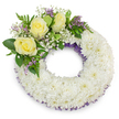 A serene, circular funeral wreath about 20-24 inches in diameter is shown against a clean white background, its form defined by layers of tightly packed, pristine white chrysanthemum heads that create a plush, cloud-like texture. The chrysanthemums' ruffled petals read soft and cool, forming a continuous ring whose open centre suggests continuity and remembrance. Along both the inner and outer edges a fine hint of deep purple netting or ribbon peeks through the white mass, giving a subtle, dignified outline to the composition. At the upper-left curve a gentle cluster of three creamy yellow roses unfurls, their velvety petals softening the wreath's geometry; these roses are supported by sprays of delicate white baby's breath and small lavender-purple statice, which add a whisper of colour and a lacy texture against the larger blooms. A mix of broad glossy leaves and ferny, feathery greenery frames the accent cluster, bringing a fresh, verdant contrast and a sense of depth. The lighting is soft and even, casting a faint, natural shadow beneath the wreath that gives it presence on the white studio surface; the overall scent would be muted and comforting-mild chrysanthemum earthiness softened by the sweet, tea-like hint of the roses. This arrangement reads as a respectful, composed tribute for a funeral or memorial, offering quiet reassurance and peace. As a local design, it is the sort of sympathetic arrangement often requested for services around Epping and neighbouring Theydon Bois, suitable for church halls or graveside farewells where understated elegance is wanted.