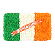 An Irish flag-inspired funeral tribute is displayed from a bird's-eye view, its rectangular shape sharply framed by a plain white background that highlights every petal. Three distinct vertical bands of flowers re-create the Tricolour with meticulous care: a solid block of deep, leafy green blossoms on the left, a clean, luminous stripe of white blooms in the centre, and a radiant swathe of orange flowers on the right. The flowers, most likely tightly packed chrysanthemums or similar small, rounded varieties, sit so closely together that they form a padded, cushion-like surface with a gentle, tactile texture. Laid across the arrangement is a diagonal ribbon of glossy coral-red satin, starting near the bottom left edge and rising confidently towards the top right. In the middle of this ribbon, the word GRANDAD appears in bold, silver capital letters, highly legible and slightly raised, as though each letter has been gently pressed into place by a careful hand at a local Epping florist. Subtle white pins or decorative fastenings secure the ribbon where it passes over the central white panel, a small yet telling detail of professional workmanship. The image suggests a tribute chosen with both heart and thought, ideal for a funeral service or graveside gathering in Epping for a grandfather with strong Irish ties. It conveys dignity, pride, and a tender sense of farewell, as if stories shared at local spots from Epping High Street to the edges of the forest are woven silently into these three simple bands of colour.