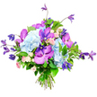 A generous mixed bouquet is presented against a clean white background, its colours and forms arranged with the quiet confidence of an experienced Epping florist. At the heart of the arrangement sit large, rounded heads of sky-blue hydrangeas, each bloom composed of many delicate petals that create a plush, cloud-like texture and an immediate feeling of abundance. Threaded through this pale blue softness are exotic orchids in bold fuchsia and deep purple, almost certainly Vanda or Phalaenopsis, their broad petals silky and patterned with intricate speckles and veins that lend the bouquet a sense of luxury and intrigue. Rising from and spilling around the central flowers are deep purple clematis blooms, their slender stems shifting direction like gentle tendrils in a garden breeze, some forming star-shaped flowers, others more bell-like, bringing height and a spontaneous, slightly wild character that feels at home in the leafy lanes around Epping. Tucked between these showy blooms are miniature spray roses in soft pink and creamy white, their small, layered petals adding touches of romance and warmth, as if chosen for a thoughtful anniversary, birthday, or thank-you gift delivered locally. Surrounding everything is a collar of rich green foliage, combining broad glossy leaves with finer greenery to frame the colours, deepen the shadows, and highlight the brightness of each petal. The stems are neatly tied at the base, showing this is a freshly hand-tied bouquet ready for same-day delivery to homes and businesses in Epping. Lit with gentle, even light that flatters every shade, the arrangement radiates graceful celebration and contemporary elegance, suitable for weddings, special dinners, or simply brightening a quiet corner of an Epping living room.